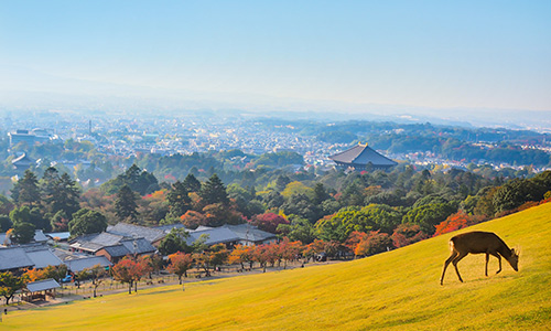 奈良県の画像